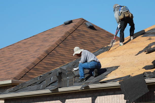 Best Roof Moss and Algae Removal  in East Los Angeles, CA